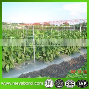 Climbing Plant Support Net thumbnail-1