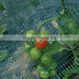 Garden Bird Netting Gives Delicious Fruits This Summer thumbnail-1