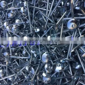 2017 ROOFING NAIL 10BWGX2.5'' AGENT for Nigeria Market thumbnail-5