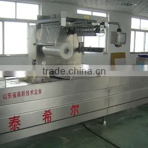 RZ420/520 Completely Automatic Hot Formation Vacuum Packaging Machine thumbnail-1