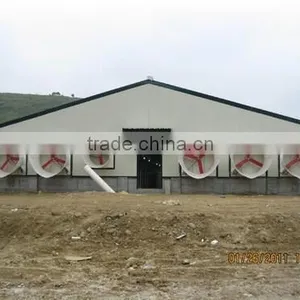 125x21x2.5m Prefabricated Steel Structure Chicken House to Ukraine thumbnail-1