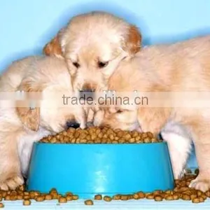 Dry Dog Food for All Breeds thumbnail-3
