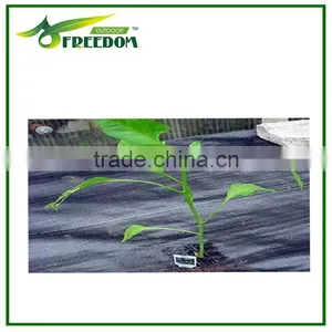 Agricultural Plastic Weed Control Mat / Ground Cover Net thumbnail-4