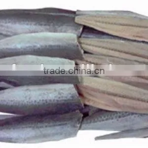 Grade A Frozen Spanish Mackerel Fillets thumbnail-1
