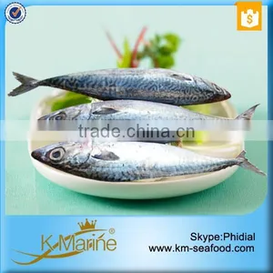 Fresh Frozen Mackerel Fish thumbnail-3