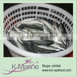 High Quality and Cheap Price Frozen Mackerel Lot Number#kmw4057 thumbnail-1