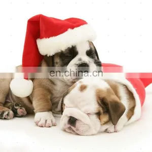 Dog With Christmas Hat Plush Dancing Santa Hat Christmas Gift thumbnail-1