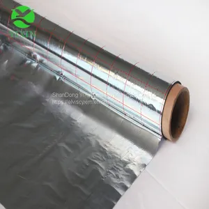 The Best Aluminum Coated Metallized PET Reflective Insulation Factory Price thumbnail-3