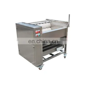 Commercial Low Price Vegetable Brush Cleaner Washer Potato Baby Carrot Onion Peeling Machine for Sale thumbnail-2
