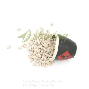 High Quality White Kidney Bean Spanish Type thumbnail-1