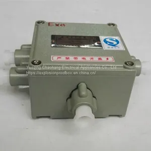 BXJ51 200 200 90 300 300 140 Zeng 'an Explosion-proof Junction Box Terminal Box Distribution Box thumbnail-4