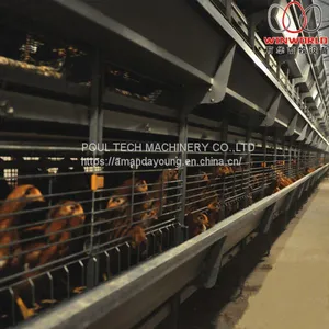 Bolivia Brooding Room - H Type Automatic Chicks Cage & Pullet Cage With Poultry Climate Control System thumbnail-3