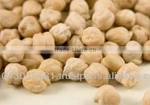 White Chickpea thumbnail-1