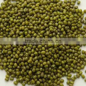 Mung Beans thumbnail-2