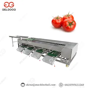 High Efficiency Small Capacity Blueberry Lychees Tomatoes Blueberries Date Palm Sorter Sorting Grading Machine thumbnail-1