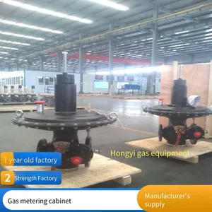 Hongyi Technology Single-metering Gas Pressure Regulating Cabinet, Natural Gas Pressure Regulating Box, Installation and Maintenance, Beautiful Appearance thumbnail-3