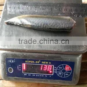 Frozen Pacific Mackerel HGT thumbnail-1