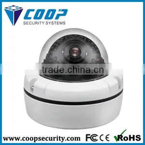 1080P Megapixel Auto IR Night Vision Dummy Camera Indoor ONVIF Analog Type Dome P2P Camera Smartphone Android HD-SDI Camera thumbnail-1