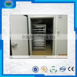 Most Popular Creative Nice Looking Cold Storage/cold Room for Corn Seed thumbnail-5