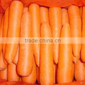 Fresh Carrot thumbnail-1