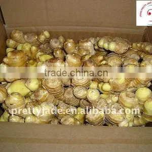 New Chinese Fresh Ginger thumbnail-1