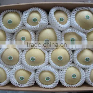 Chinese Emerald Pear thumbnail-1