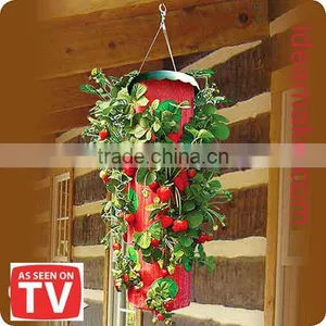 Topsy Topside Down Turvy Strawberry Planter As Seen On TV thumbnail-1