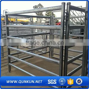 China Cheap Cattle Panels for Sale / Galvanized Cattle Fencing / Live Cattle Prices thumbnail-4