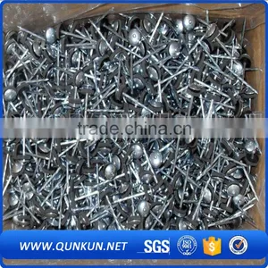 Twisted Roofing Round Bar Common Nail thumbnail-5