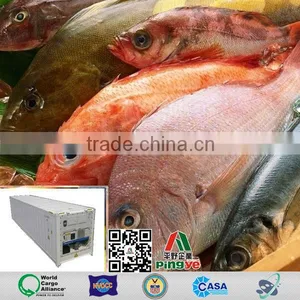Seafood Reefer Transportation From Zhanjiang thumbnail-1