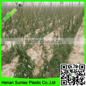 Strong Durable Trellis Netting Polyester Plant Support Net Mesh Grow Room Net thumbnail-4