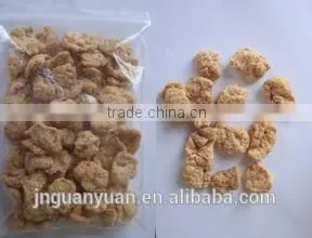 Soy Protein and Textured Soy Protein Processing Line thumbnail-1