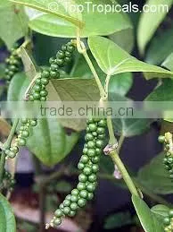 Suvimie Ceylon Black Pepper Corns thumbnail-5