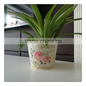 Plastic Decorative Flower Pot thumbnail-1