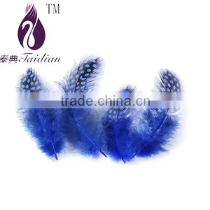 Natural Pearl Chicken Feathers,guinea Fowl Feather Trim Quality Choice thumbnail-2