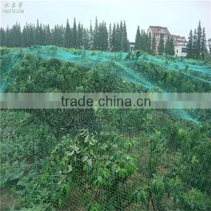 Many Kinds of Anti-hail Nets thumbnail-4