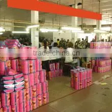 Shenzhen Doohan Industrial Co., Ltd. company overview - view 3 thumbnail