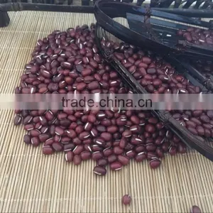 2016 China Adzuki Beans for Europ thumbnail-2