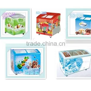 Curved Double Door Ice Cream Freezers From 151L to 405L thumbnail-1