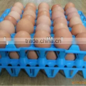 Color Egg Tray thumbnail-1