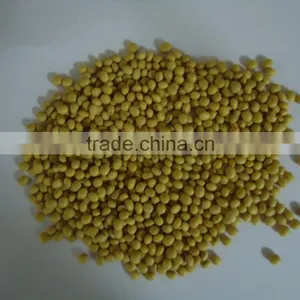 Indian Soya Bean Seed thumbnail-1