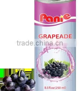Panie the Best and Real Fruit Juice From Vietnam, Tropical Country thumbnail-3