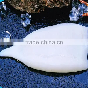 Frozen Seafood Squid Tube IQF( Todarodes) thumbnail-1