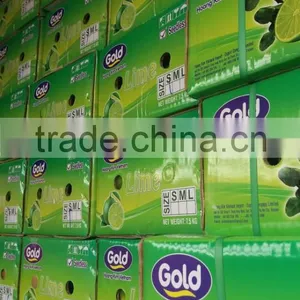 HKVIMEX'S Supply Bulk Fresh Lime thumbnail-1