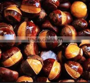 2015 New Crop Cut Frozen Chestnuts thumbnail-1