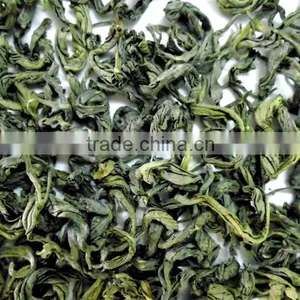 Ba Vi OP Green Tea thumbnail-1