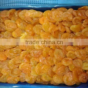 New Arrival Dried Apricots for Sale thumbnail-1