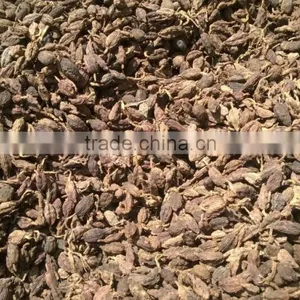 Black Cardamom thumbnail-4