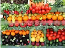 High Quality Exquisite Classic Fresh Vegetables thumbnail-1