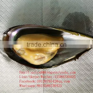 Wholesale High Quality Half Shell Mussel With Good Price and High Quality thumbnail-6